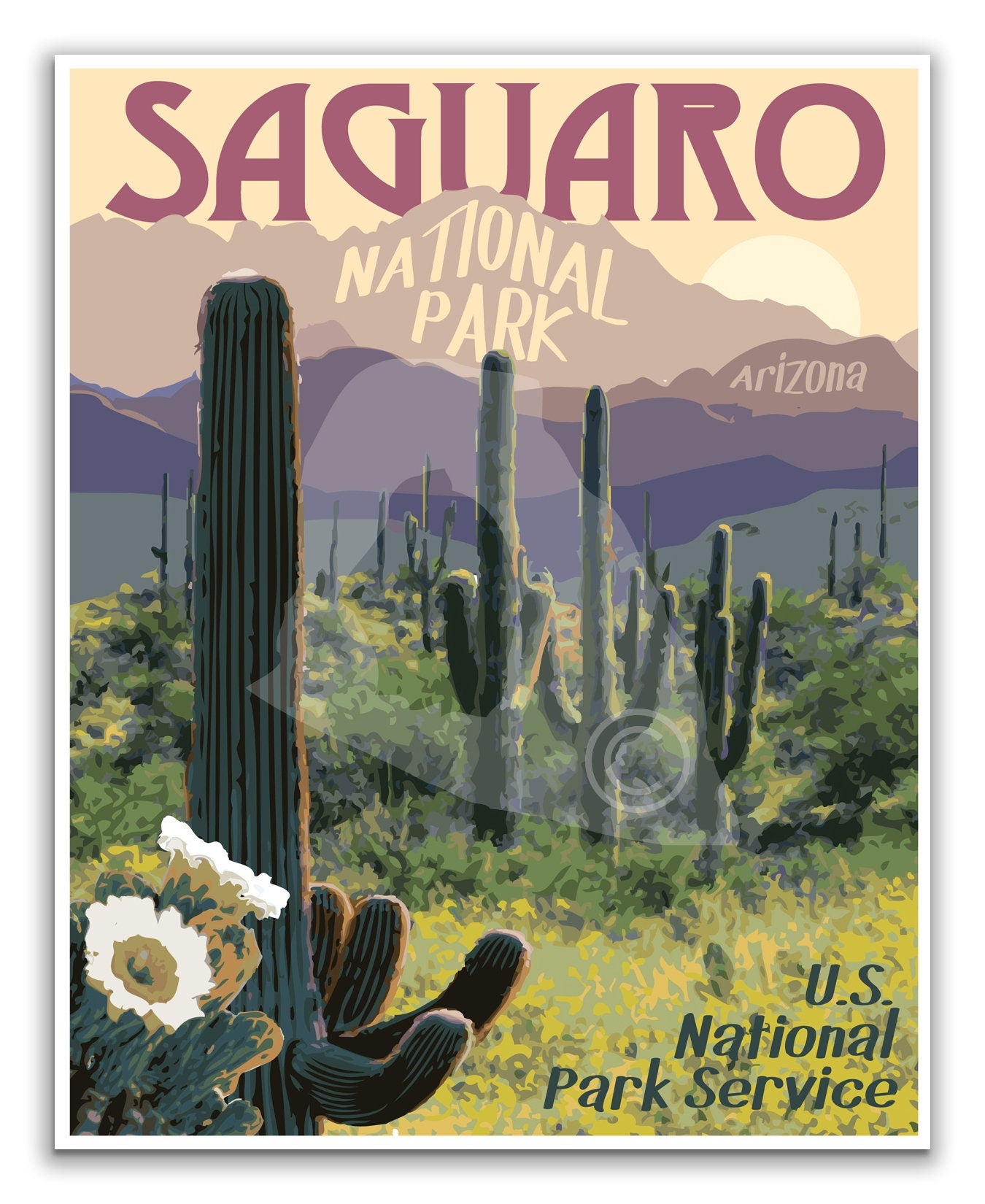 Saguaro National Park Print, Saguaro Arizona Poster, Saguaro Cactus Print, Vintage Style Travel Art