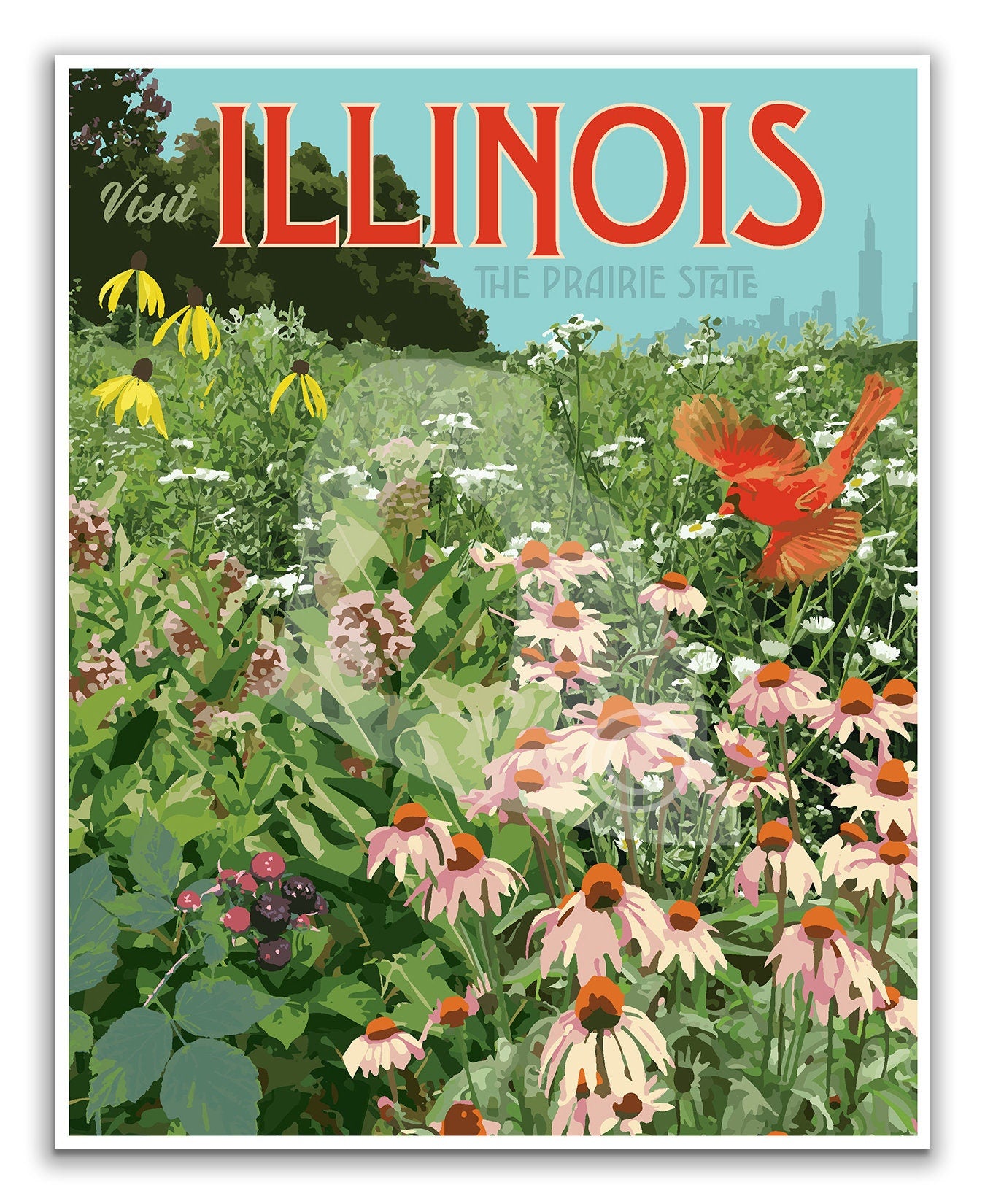 Illinois Wildflower Print, Illinois Prairie State Poster, Vintage Style Travel Art