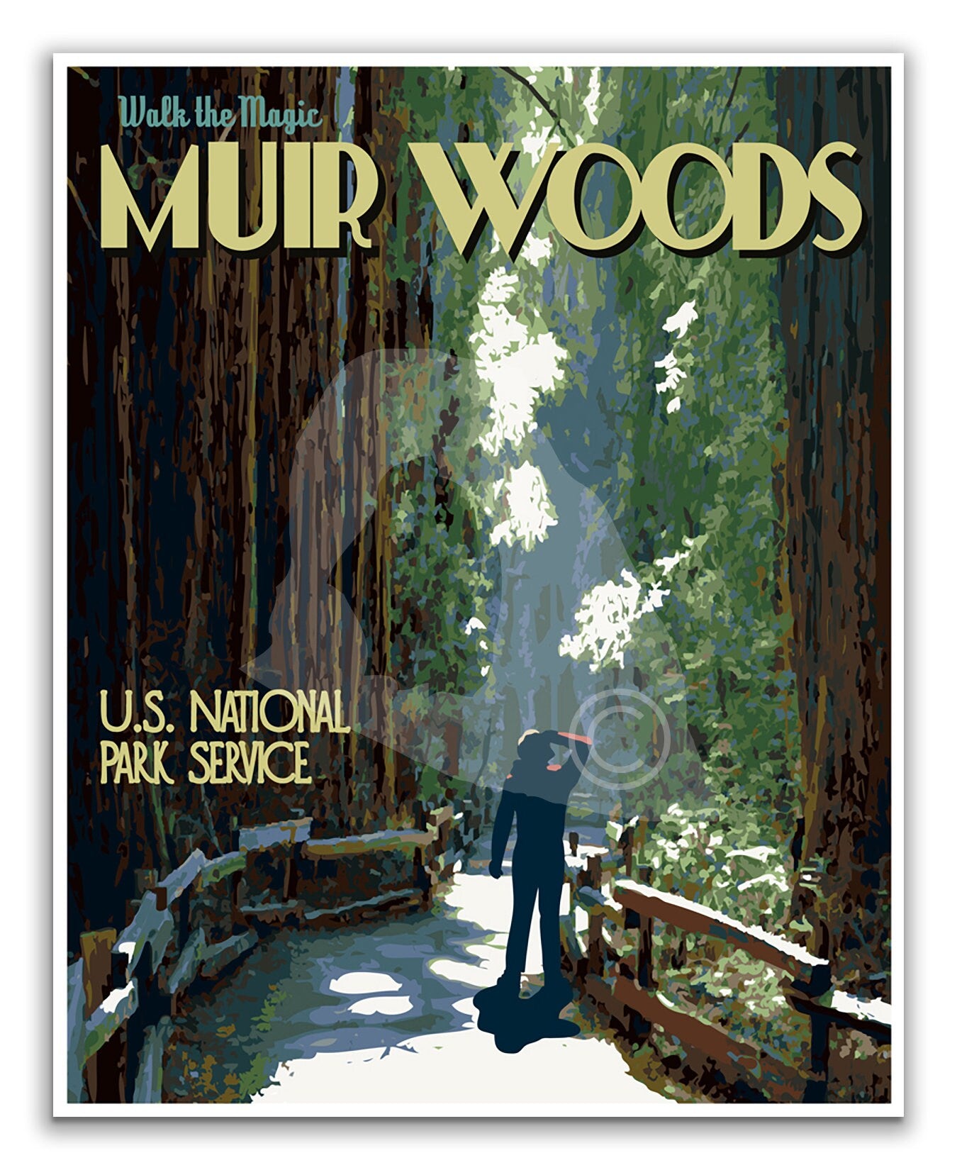 Muir Woods National Monument Print, John Muir Woods California Poster, California Vintage Style Travel Art