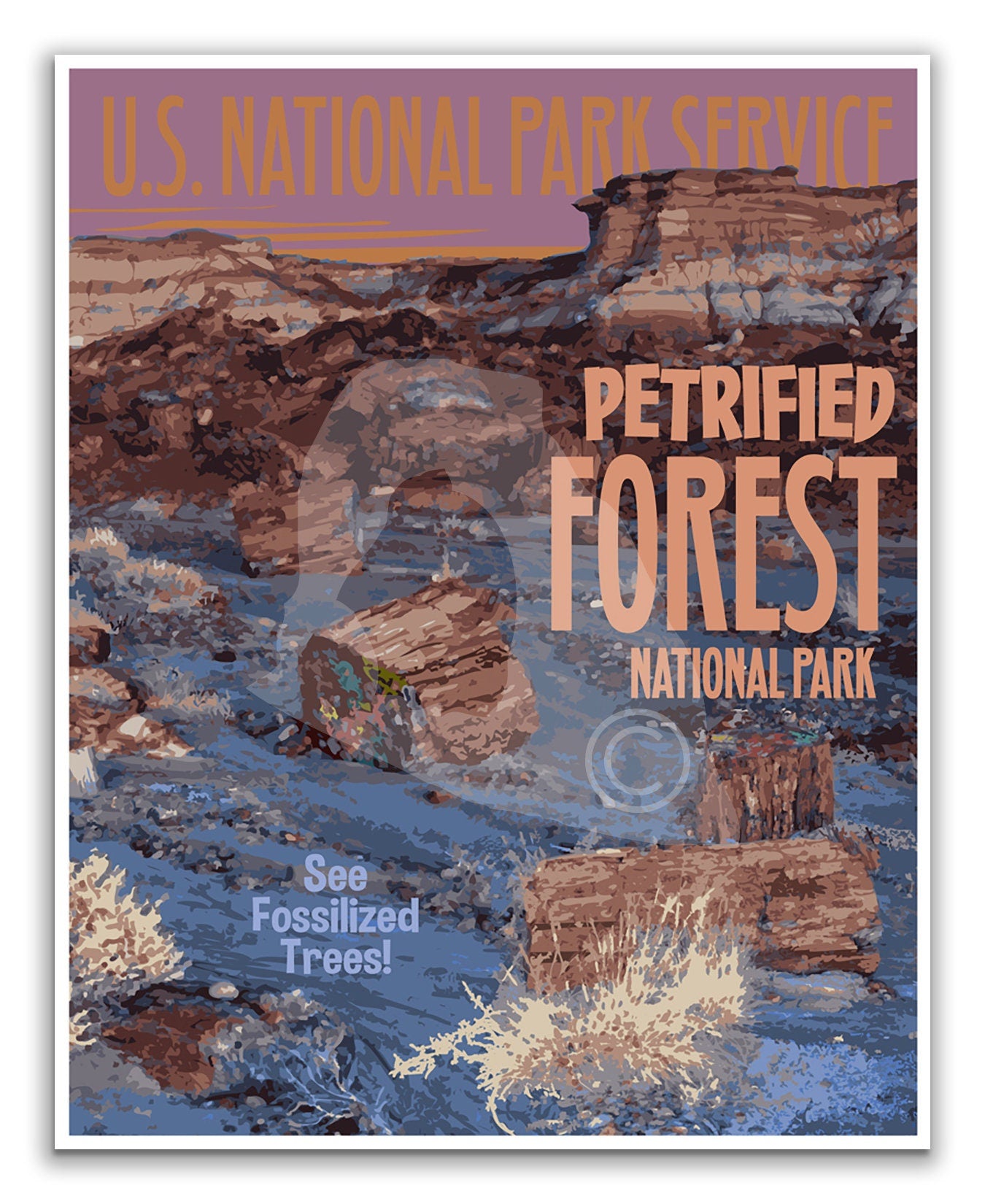 Petrified Forest National Park Print, Petrified Forest Arizona Poster, Vintage Style Travel Art